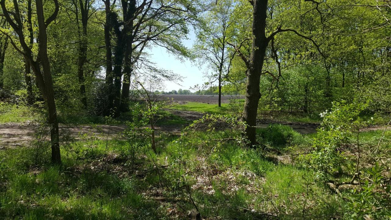 Chalet Drenthe Schoonloo Exterior foto